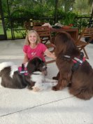 Therapy Dog